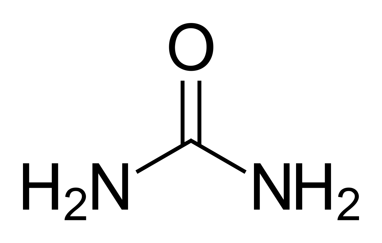 요소수에 들어가는 요소의 뜻&amp;#44; 소변에 포함된 요소(尿素) 우레아(Urea)