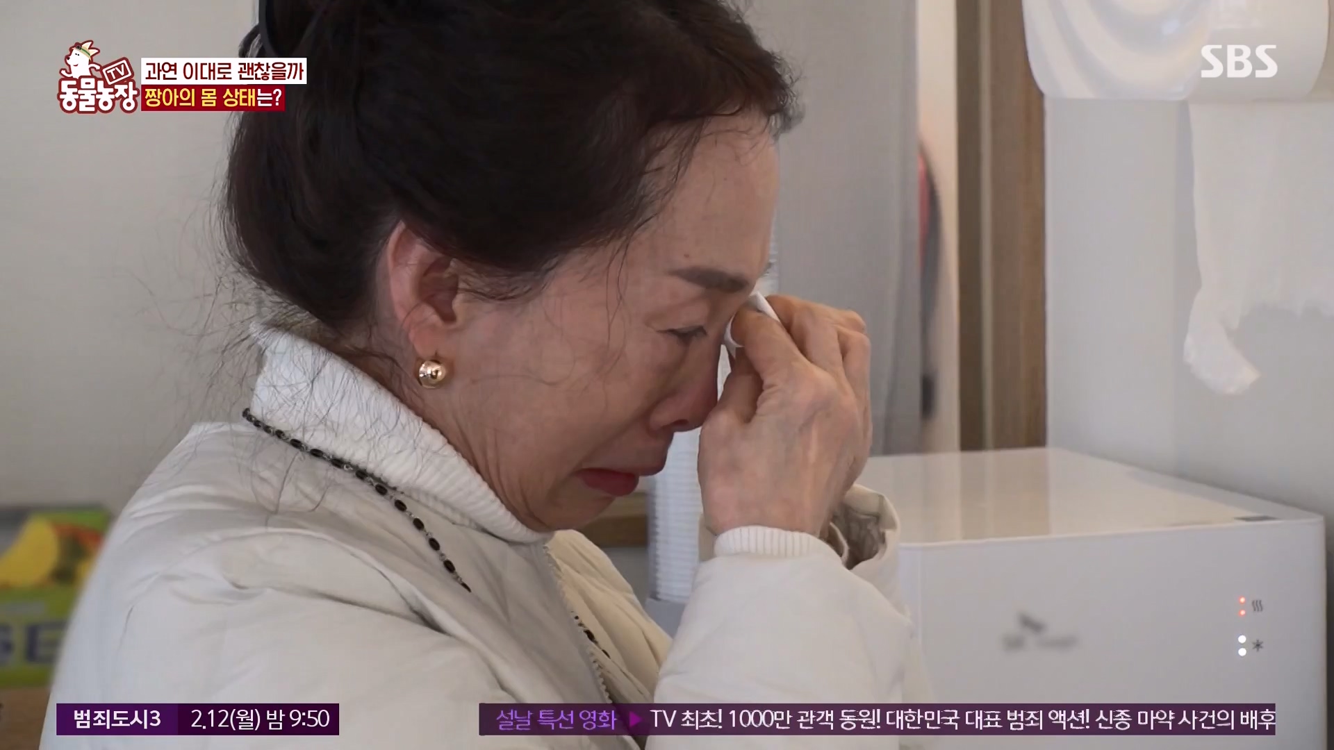 TV 동물농장.E1157.240204p-NEXT.mp4_20240204_172414.363.jpg
