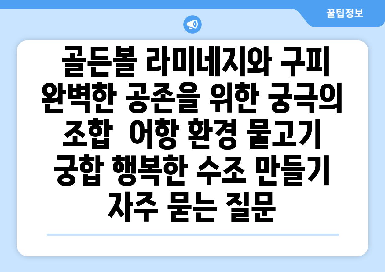 ## 골든볼 라미네지와 구피| 완벽한 공존을 위한 궁극의 조합 | 어항 환경, 물고기 궁합, 행복한 수조 만들기