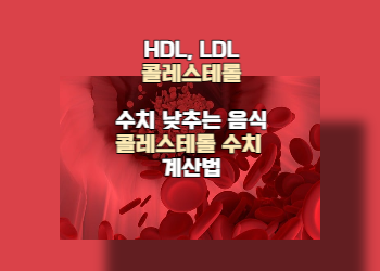 HDL&#44;LDL콜레스테롤 수치 낮추는 음식&#44; 의미와 콜레스테롤 수치 계산하는 방법