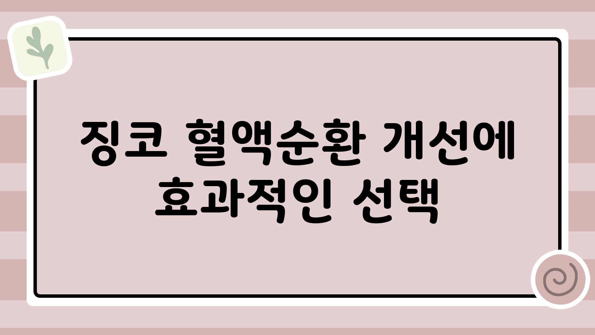 징코 혈액순환 개선에 효과적인 선택