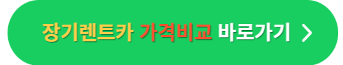 장기렌트카