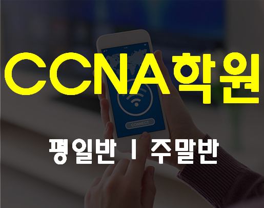  부산 CCNA학원 해운대 센텀에서 한달완성과정!