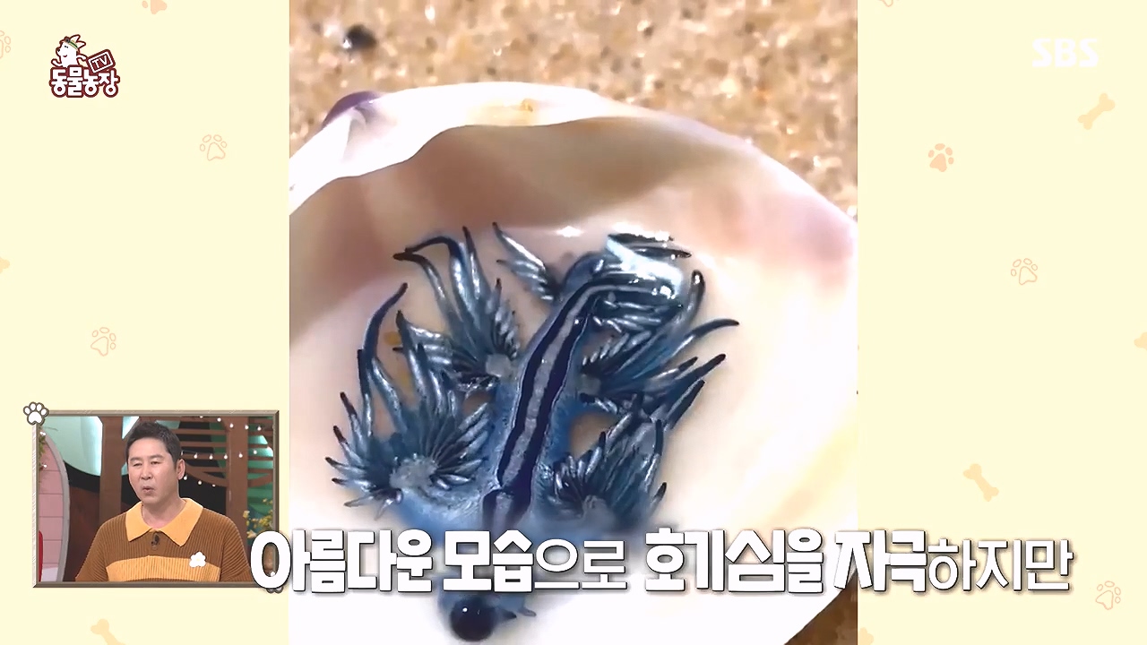 TV 동물농장.E1153.240108p-NEXT.mp4_20240107_170639.357.jpg