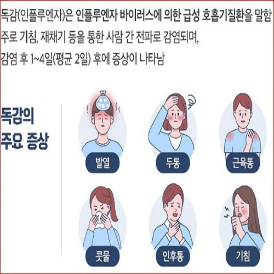 독감 증상과 격리기간 및 예방방법