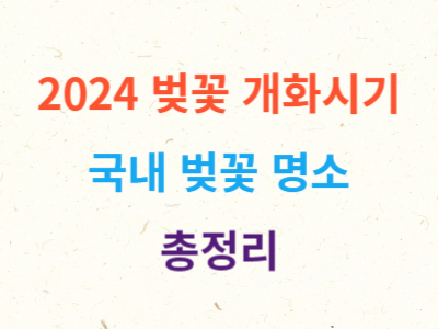 2024 벚꽃 개화시기 명소 총정리