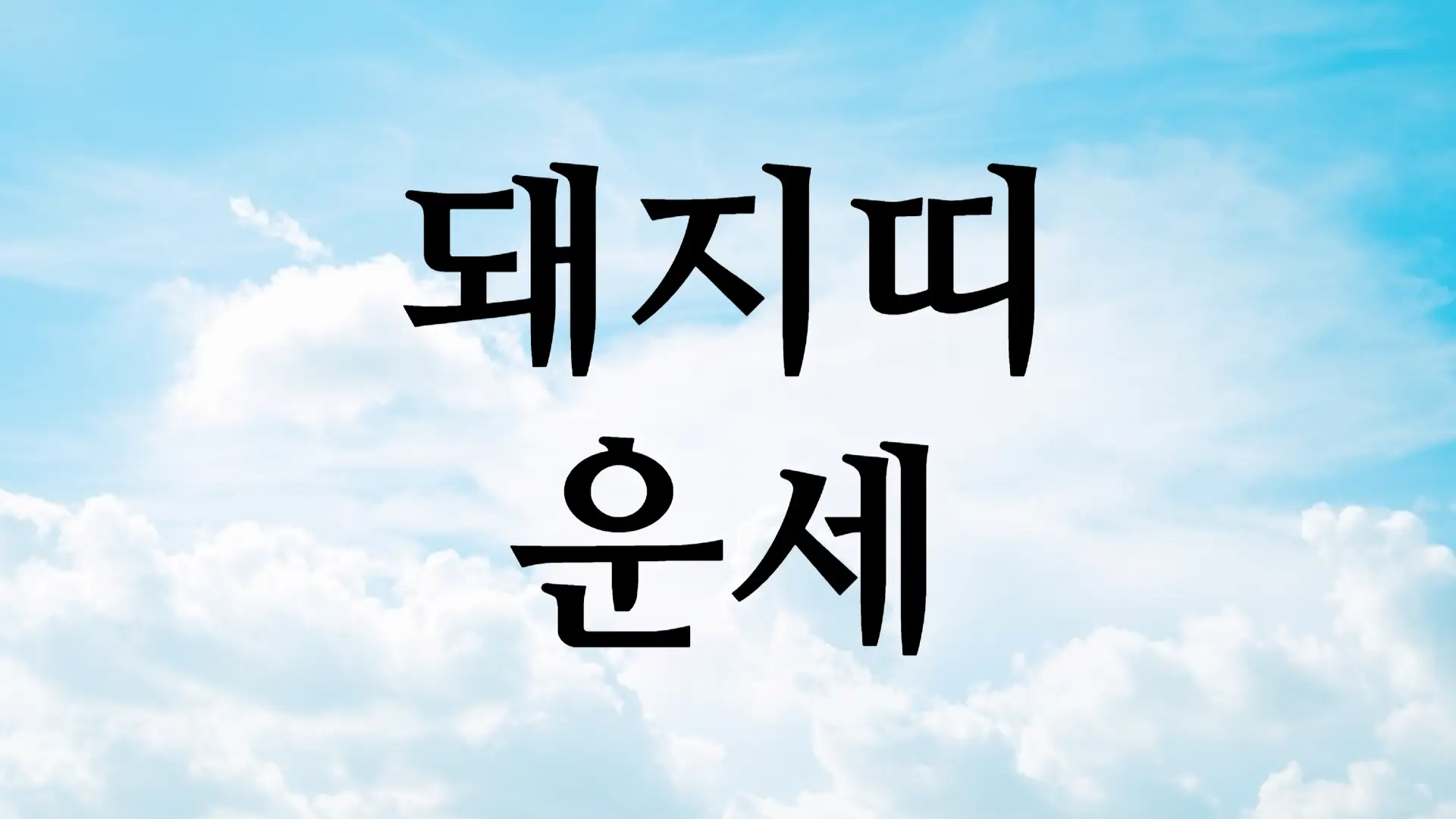 돼지띠 2025년 1월 띠별운세