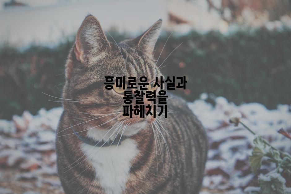 흥미로운 사실과 통찰력을 파헤치기