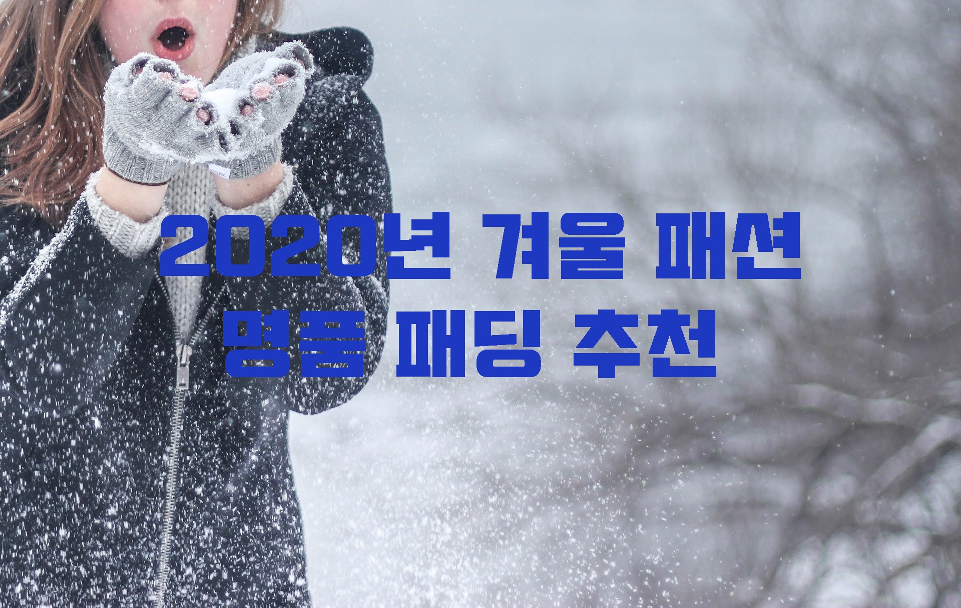  2020년 겨울 패션 명품 패딩 추천 [몽클레어/파라점퍼스 패딩]
