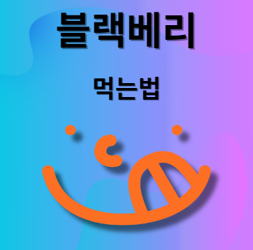 블랙베리 먹는법