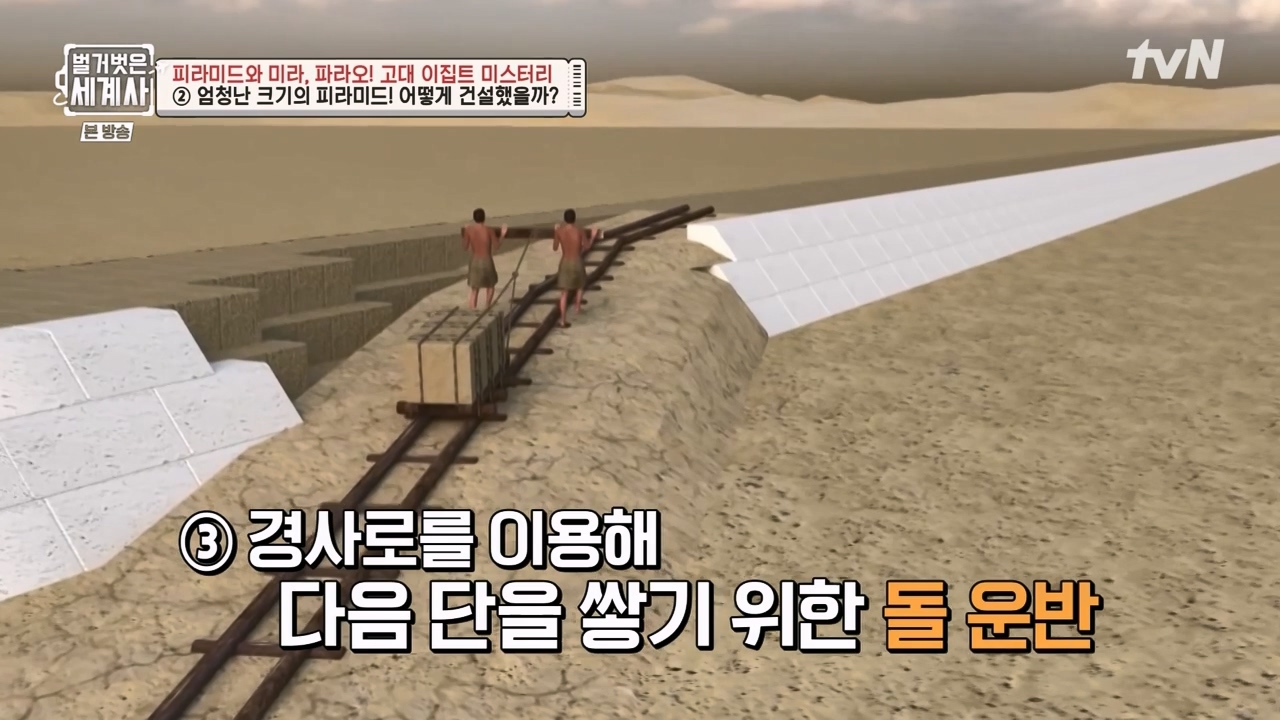 벌거벗은 세계사.E91.230322p-NEXT.mp4_20230422_180157.879.jpg