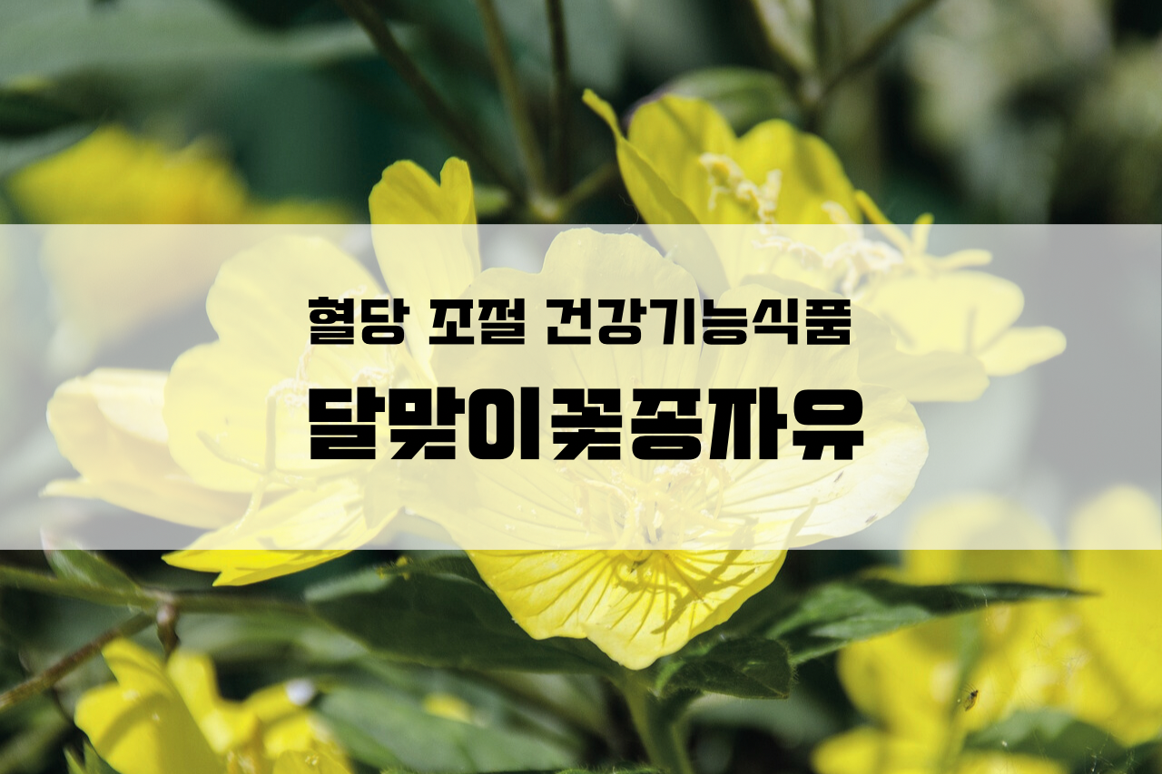 혈당-조절-달맞이꽃종자유