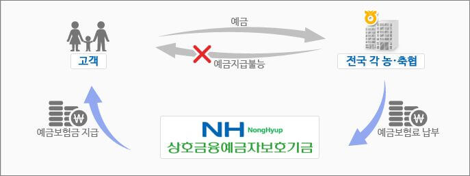 단위농협(제2 금융권) 예금자 보호제도