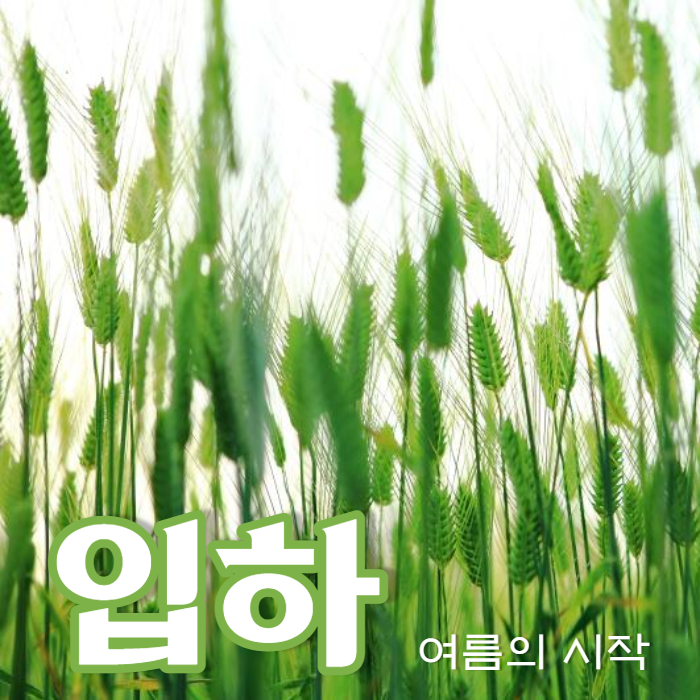  입하 인사말 이미지, 인사, 뜻, 먹는 음식