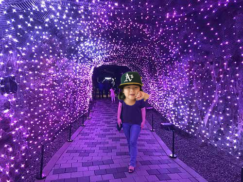 빛의 터널