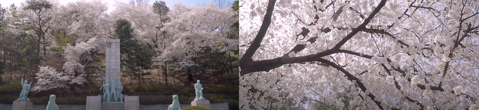 서울-국립현충원