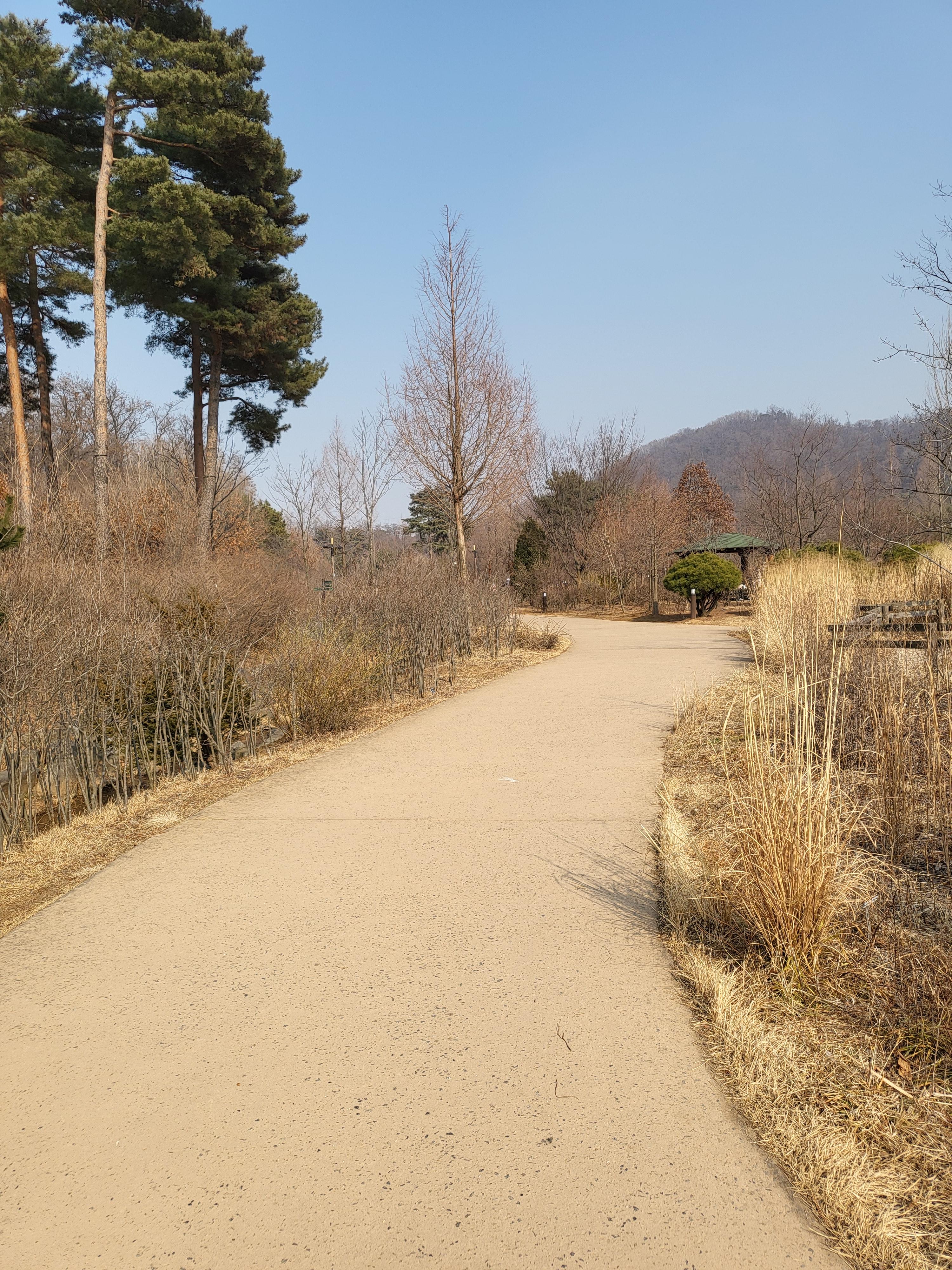 푸른수목원