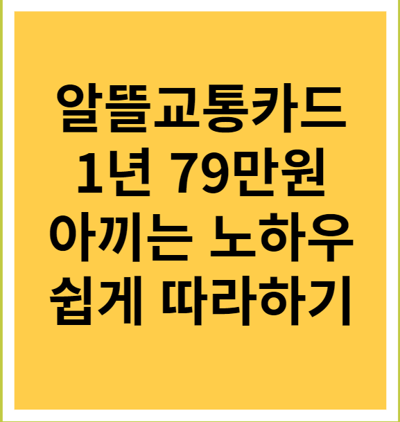 알뜰교통카드 1년 79만원 아끼는 노하우