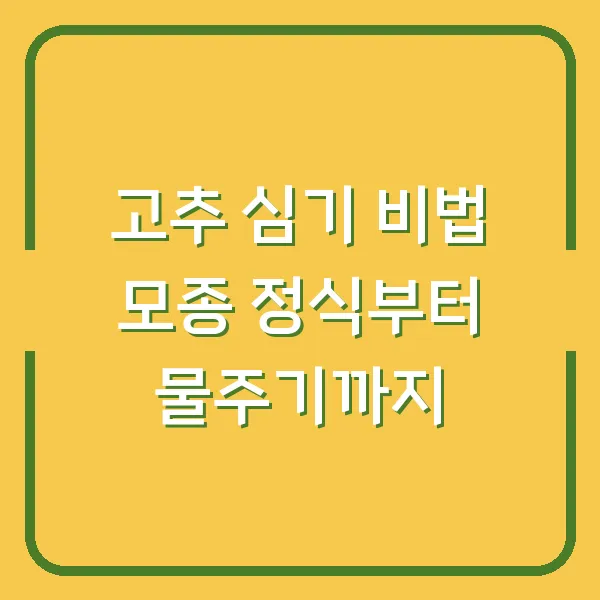 고추 심기 비법 모종 정식부터 물주기까지