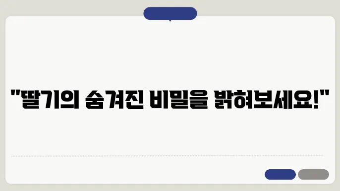 딸기의 영양 성분 및 그에 따라 기대할 수 있는 효과