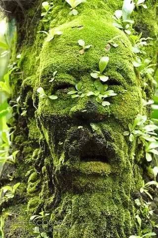 img.jpg