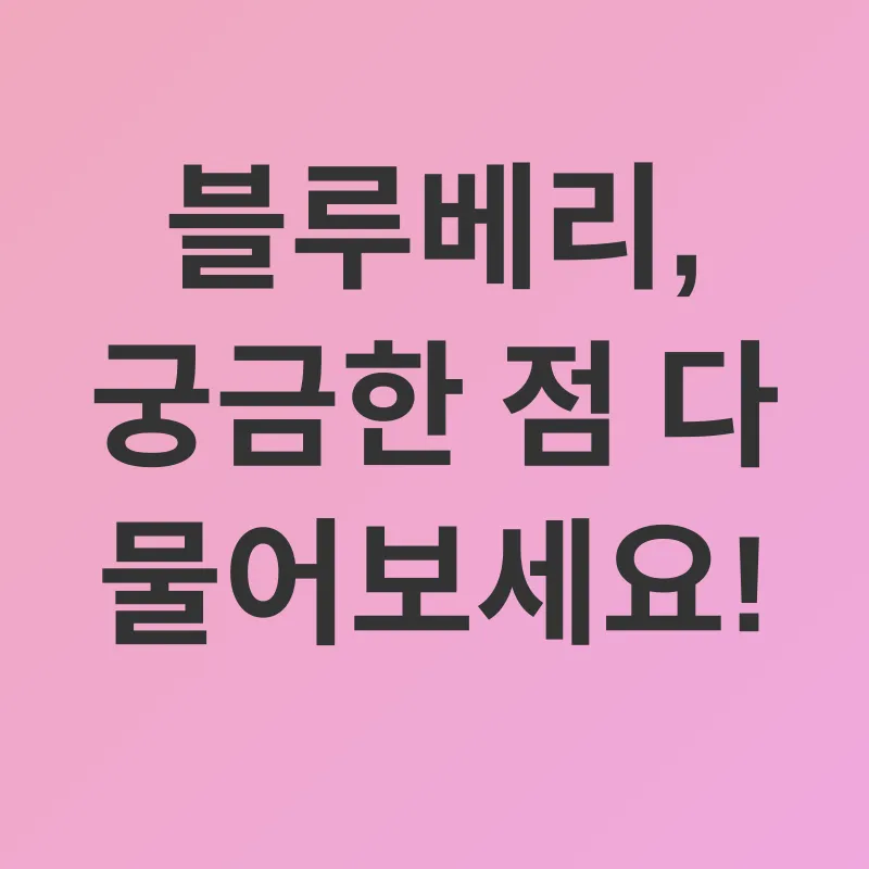 블루베리 피부 효능_4