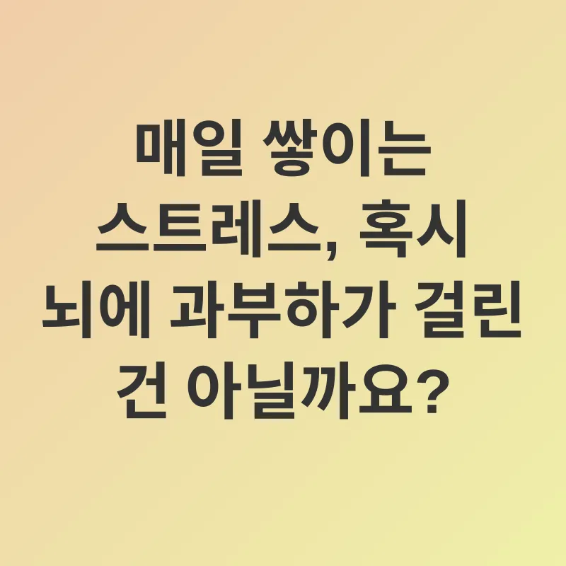 모링가 뇌 건강_1