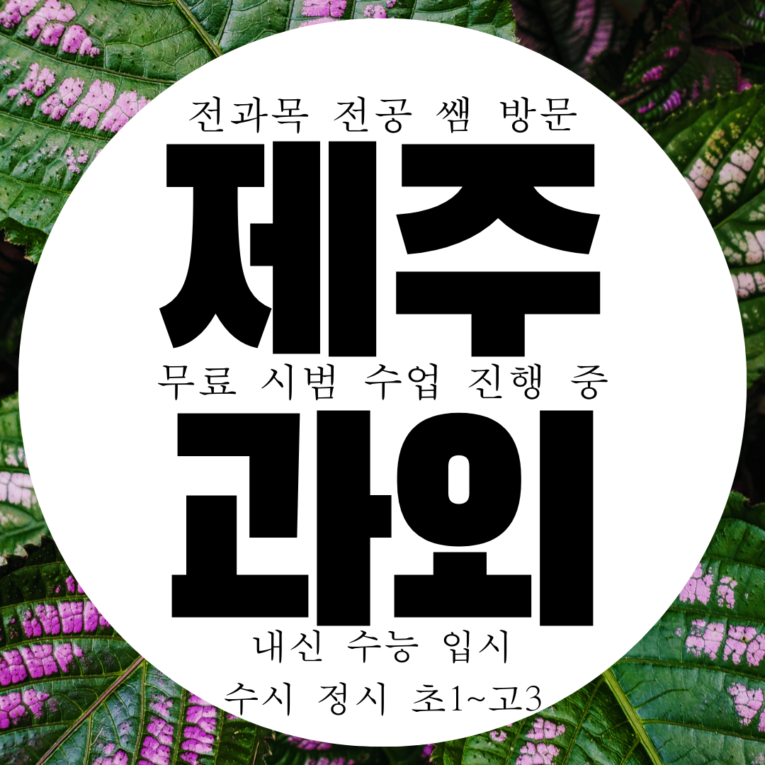  제주 노형동 영수과외 예비 고등 중학생 전과목 물리 화학 수업