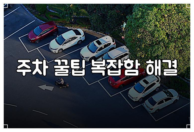 주차 꿀팁 복잡함 해결