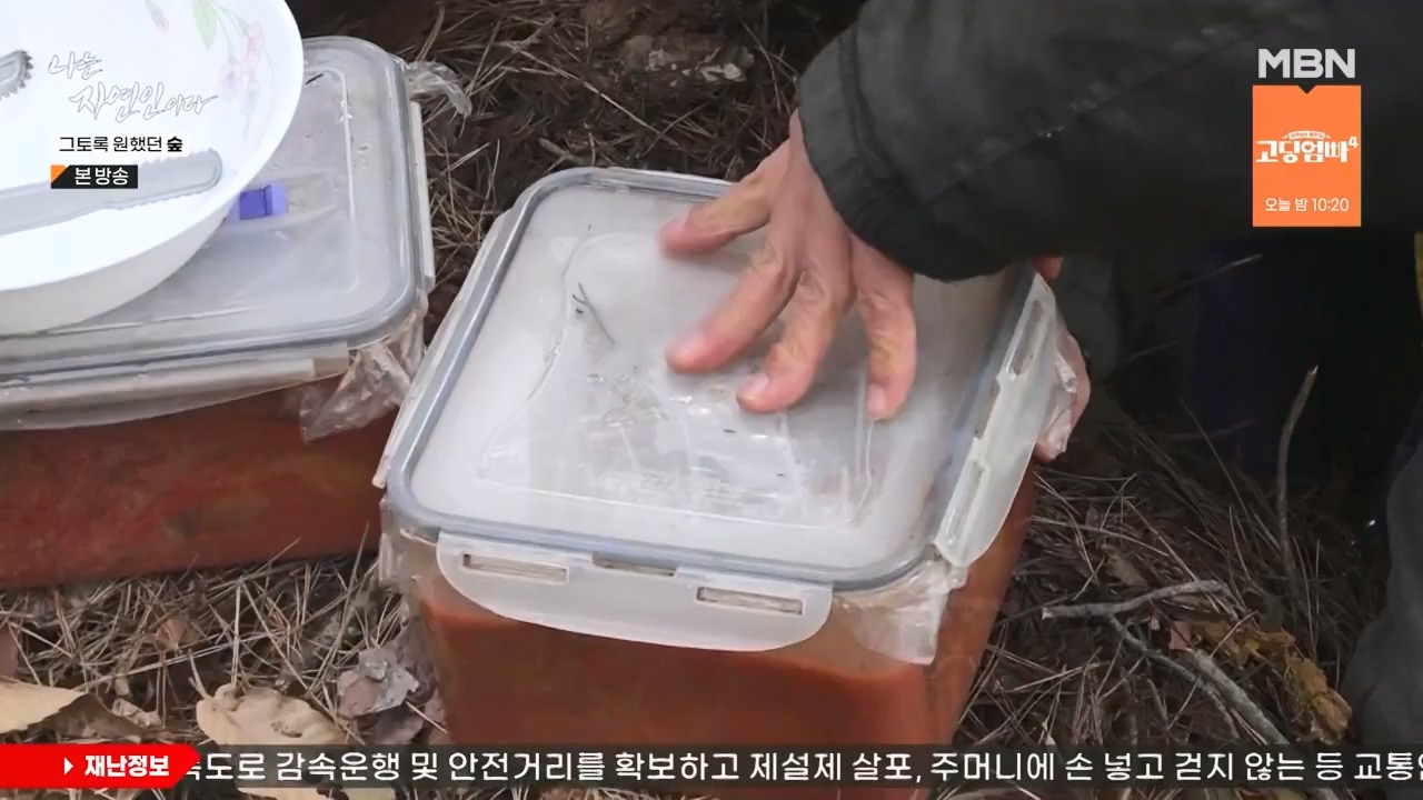 나는 자연인이다.E591.240132p-NEXT.mp4_20240201_195751.143.jpg