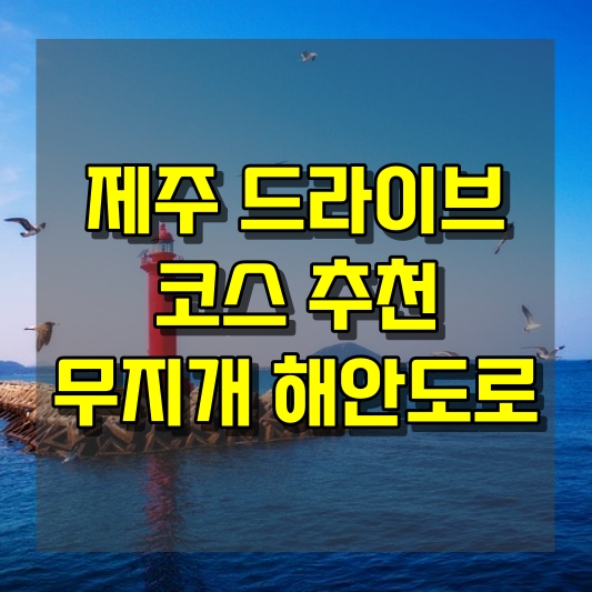 무지개 하늘 아래 미소 짓는 길 제주 무지개 해안도로