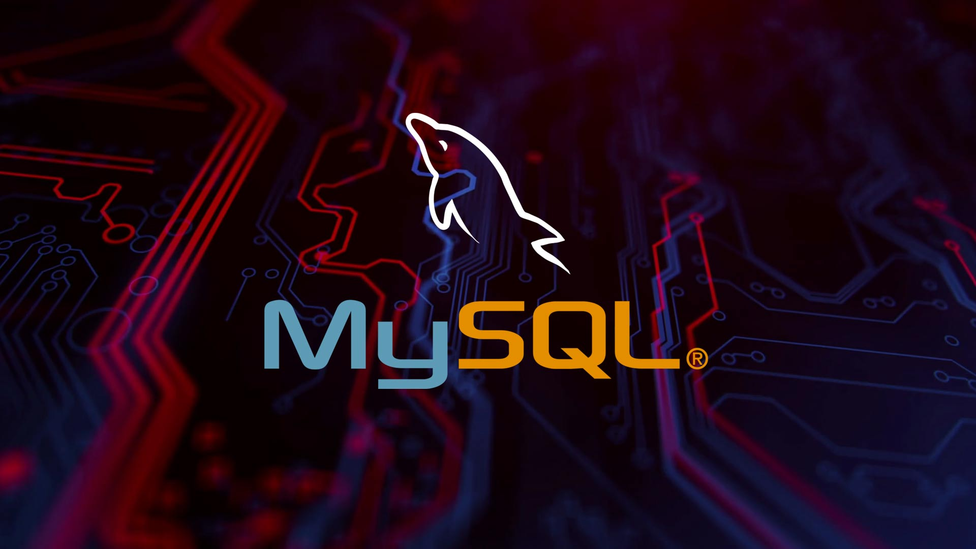  [MySQL] Packet for query is too large 에러 발생시