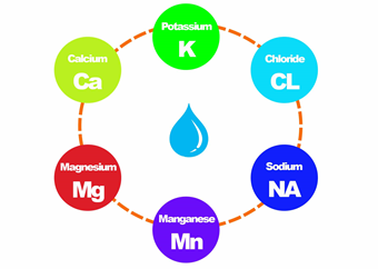 체내에서 활용하는 대표적인 전해질인 칼륨&#44; 염소&#44; 나트륨&#44; 망가&#44; 마그네슘&#44; 칼슘을 소개하는 그림
