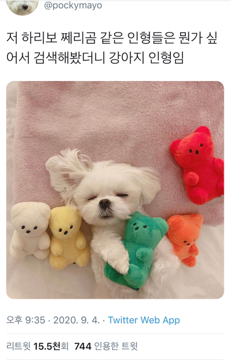  넘모 사랑스러워ㅜㅜㅜㅜㅜ