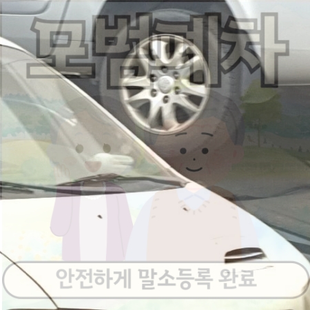 대구광역시서구폐차장