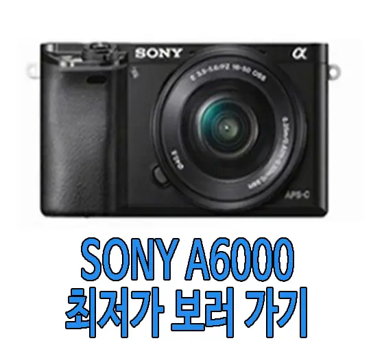 SONY A6000 사진(소니 알파 6000 사진)