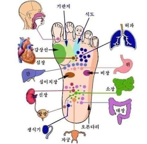 건강마사지 이미지