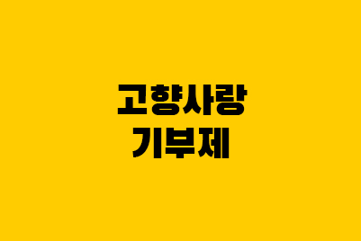  고향사랑기부제란? 연말정산 세액공제와 답례품까지