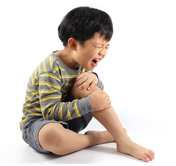 성장통 관련사진