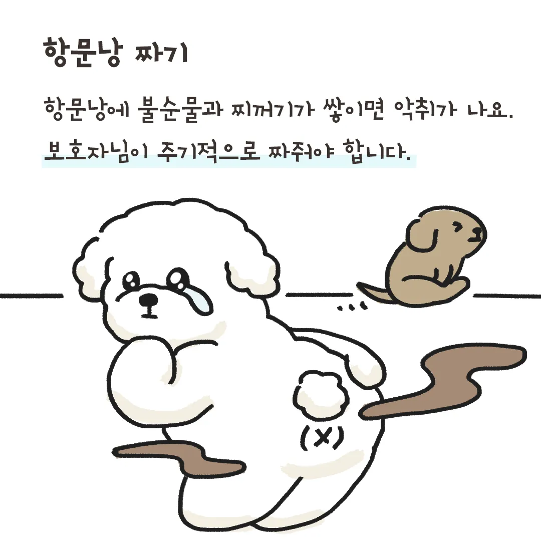 집안에서 간편하게 시도 가능한 강아지 냄새 제거 기술_7