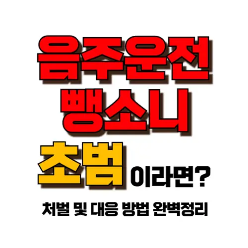 음주뺑소니 초범 썸네일