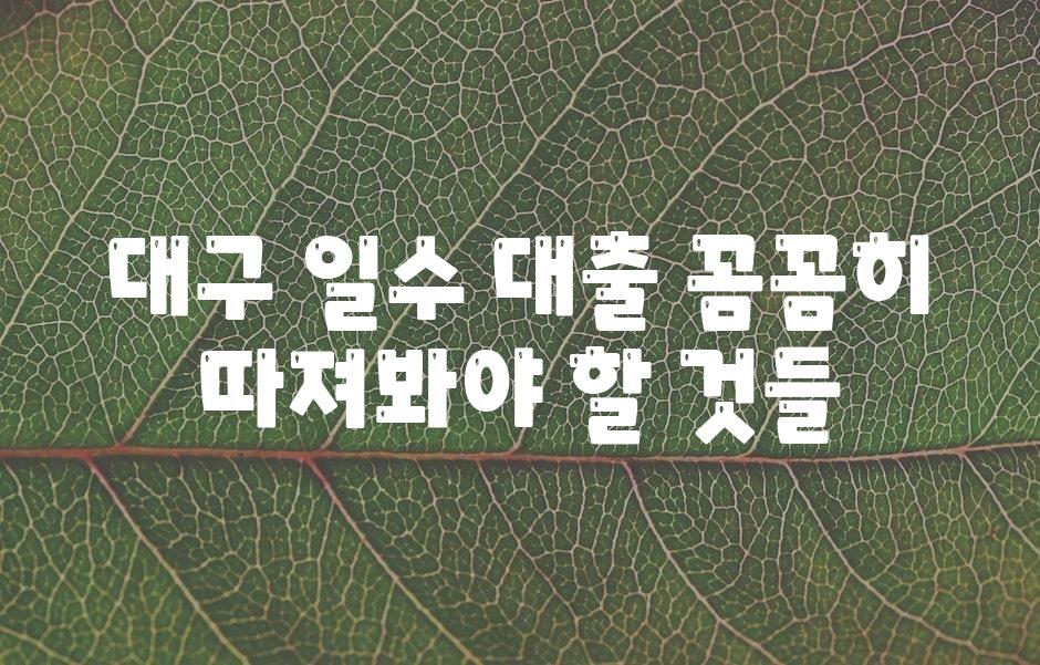 대구 일수 대출 꼼꼼히 따져봐야 할 것들