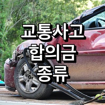 교통사고-합의금-종류