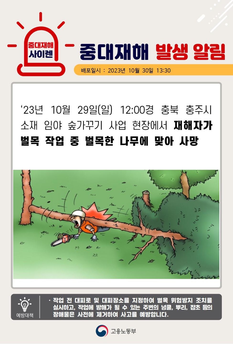 벌목 작업 중 벌목한 나무에 맞아 사망