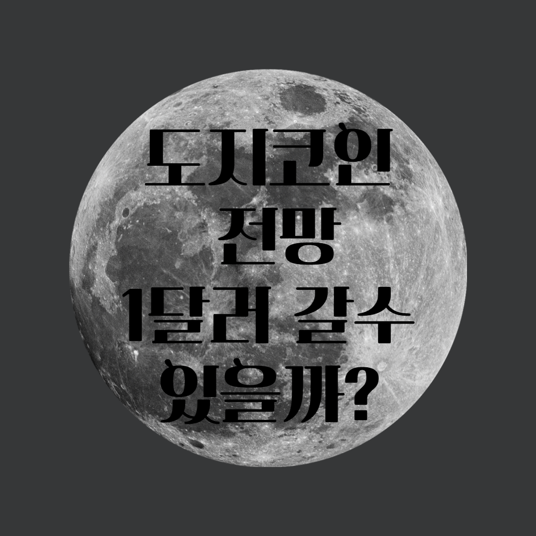  도지코인  시세 전망