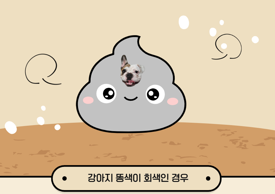 강아지 똥 색깔 상태로 건강을 확인하는 방법