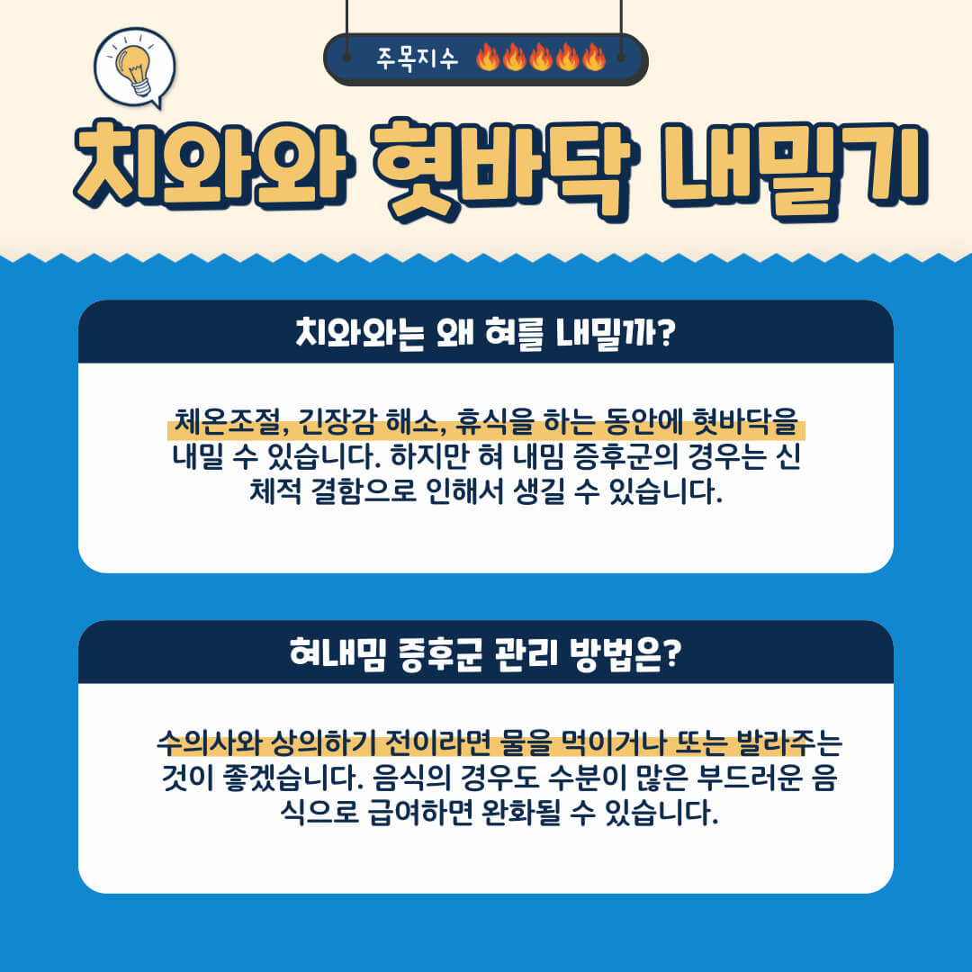 치와와가 혓바닥을 내미는 이유