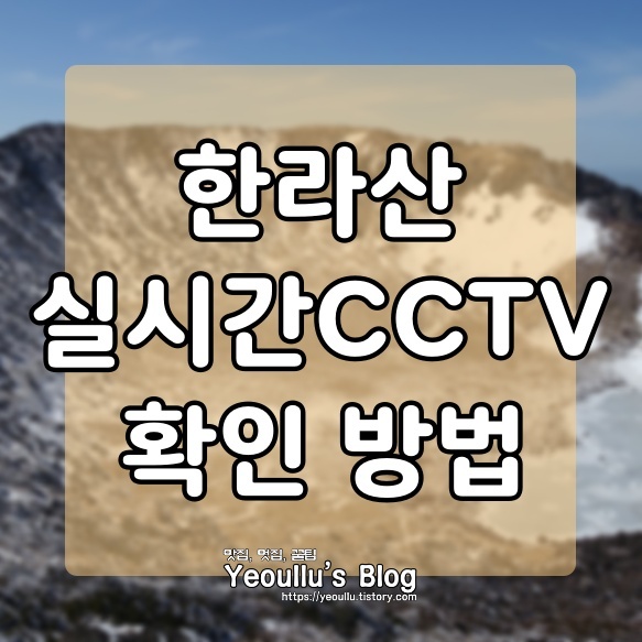  한라산 실시간 cctv 시청하는 방법