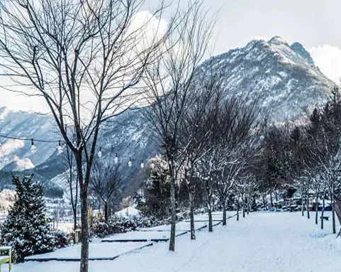 대둔산글램핑캠핑장