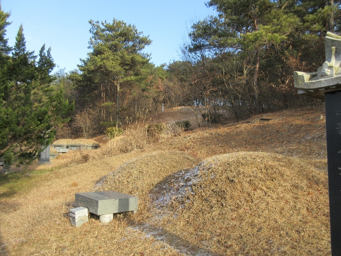 광주지방법원2021타경78504 [남동측 하단부 및 경계상 소재 분묘]